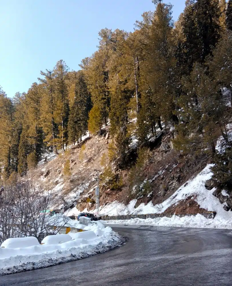 nathia gali 4 min.jpg