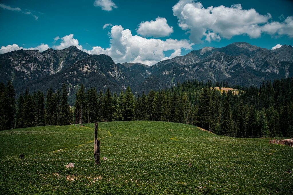 Discover the breathtaking views of Kumrat Valley's green meadows and majestic mountains under a vibrant sky.