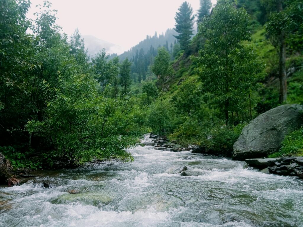 Tranquil river flowing through a lush green forest in the mountains, showcasing natural beauty and serenity.