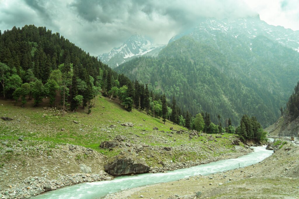 Explore the lush valleys and snow-capped mountains of Sonamarg, Kashmir in this picturesque landscape.